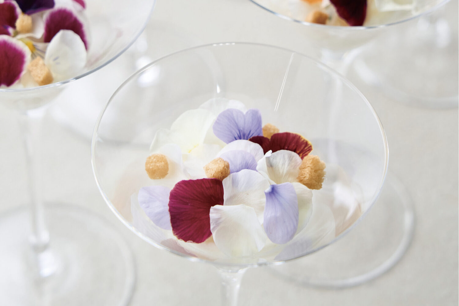 ヤリイカと柚子香る マスカルポーネのムース