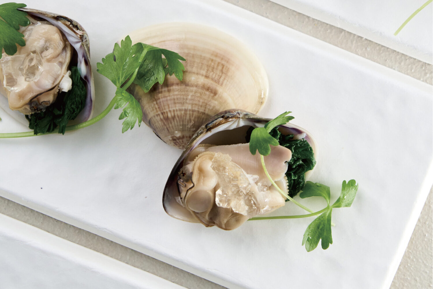 蛤の二種仕立て  蛤とハーブリゾット 蛤と白ワインのジュレ