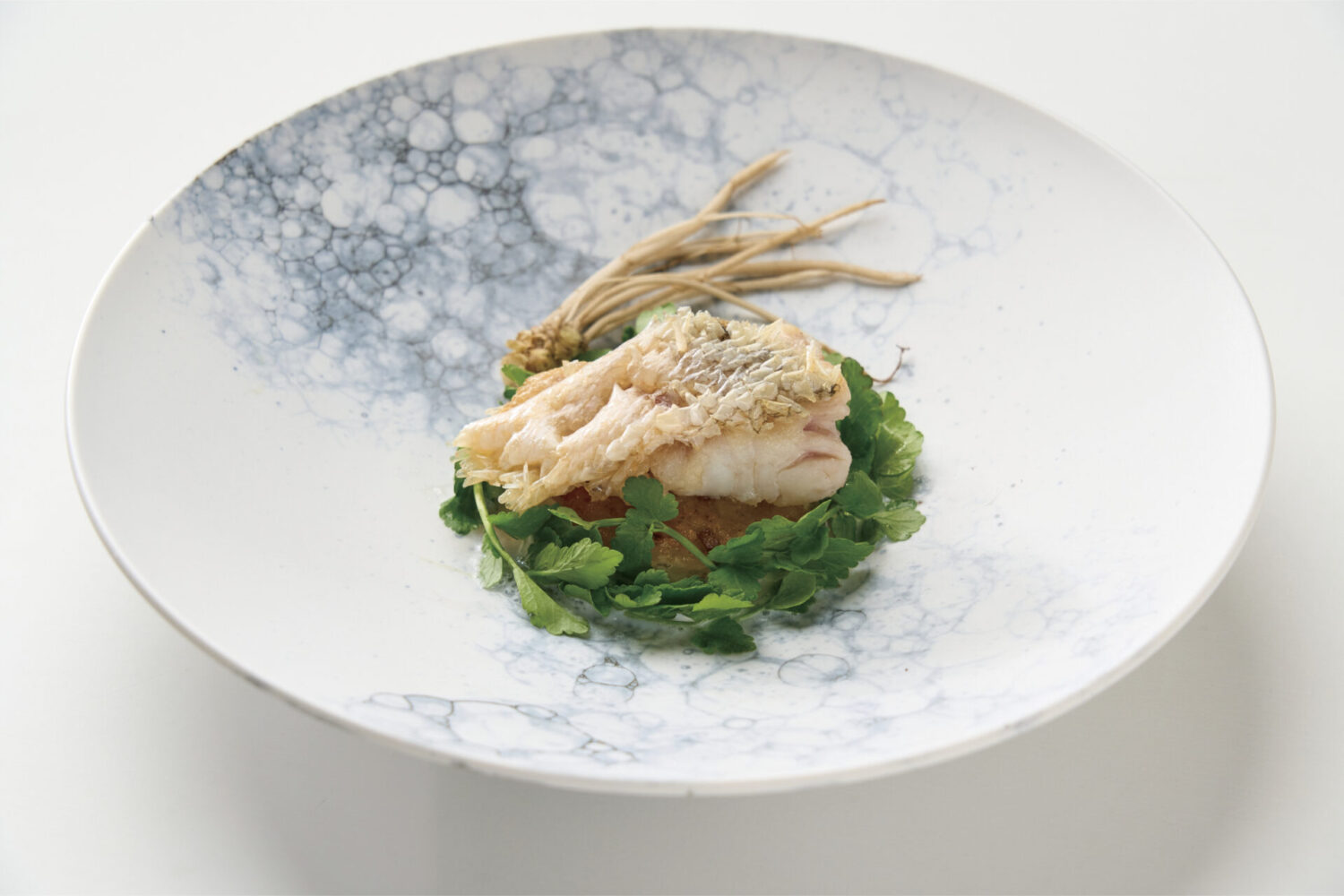 長崎県産甘鯛の鱗焼き せりとキノコの焼きリゾット 海苔のソース